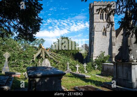 Vieux chêne anglais endommagé, Quercus, dans le cimetière d'une église paroissiale traditionnelle après une période de temps venteux orageux dans le Grand Londres, Banque D'Images