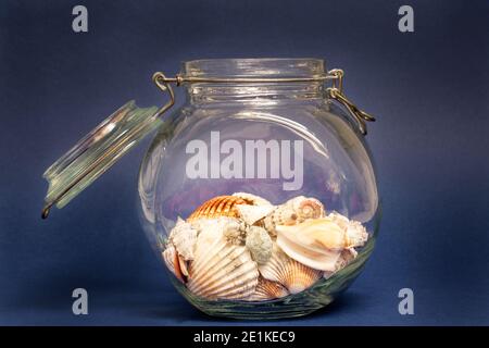 Encore la vie, coquillages dans un pot en verre ouvert sur un fond bleu Banque D'Images