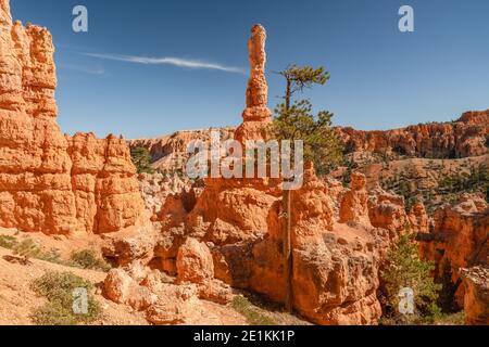 Flèches et arches de grès dans le parc national de Bryce Canyon, Utah Banque D'Images