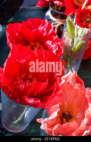 Gros plan de nombreux groupes de fleurs rouges festives Banque D'Images