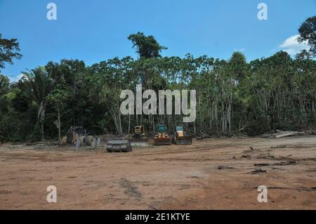 Les effets de la déforestation sur la forêt amazonienne au Brésil Banque D'Images