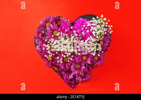 Vue de dessus de fleurs roses brillantes fleuries avec gitsophila in boîte cadeau en forme de coeur pour les fêtes Banque D'Images