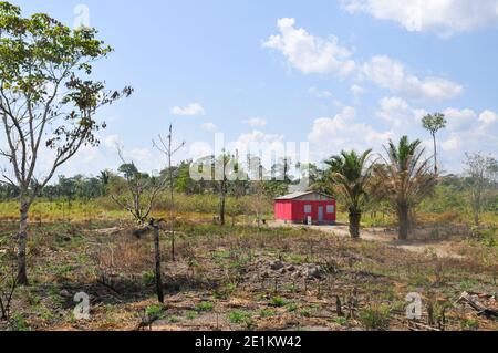 Les effets de la déforestation sur la forêt amazonienne au Brésil Banque D'Images