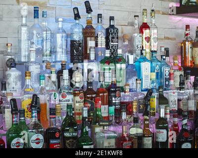 De nombreuses bouteilles d'alcool dans un bar pour créer des boissons Banque D'Images