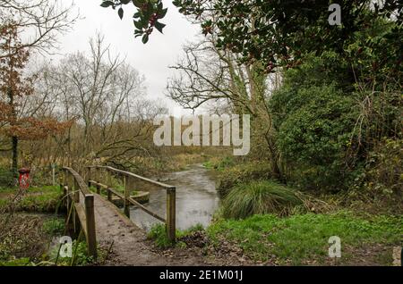 Passerelle au-dessus d'un virage dans la rivière Itchen dans le village d'Itchen Stoke, dans le Hampshire, lors d'une journée d'automne nuageux. Banque D'Images