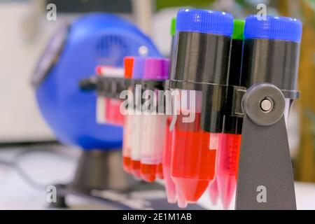 Rotateur de rôtisserie de tubes numériques pour le mélange d'échantillons biologiques : gros plan Banque D'Images
