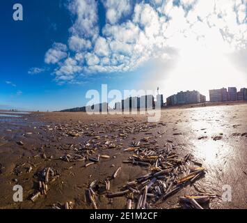 un groupe de jackknifs sur la plage sans personne un jour d'automne ensoleillé avec un ciel nuageux Banque D'Images