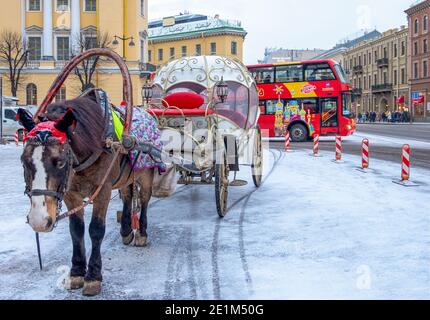 Saint-Pétersbourg, Russie - 7 janvier 2021. En hiver, un mignon cheval brun attaché à une calèche historique se dresse dans une rue de la ville avec un bus touristique. Banque D'Images