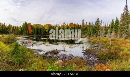 Three Brothers Falls conservation Area Kinmount Ontario Canada en automne Banque D'Images