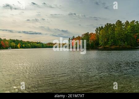 Three Brothers Falls conservation Area Kinmount Ontario Canada en automne Banque D'Images
