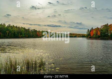 Three Brothers Falls conservation Area Kinmount Ontario Canada en automne Banque D'Images