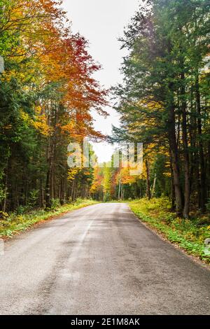 Three Brothers Falls conservation Area Kinmount Ontario Canada en automne Banque D'Images