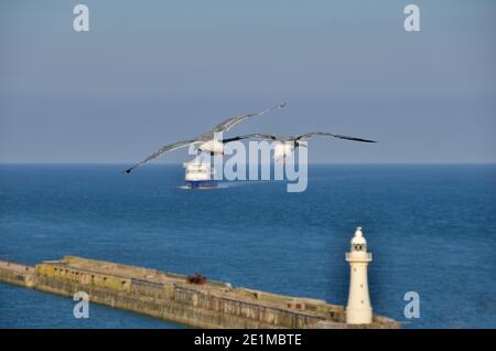 deux goélands volant dans un phare blanc dans le bleu mer Banque D'Images