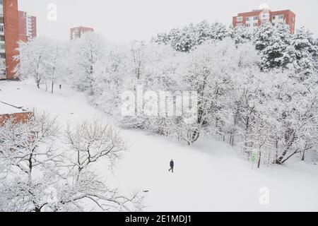Magnifique paysage d'hiver blanc avec des arbres couverts de neige après chutes de neige parmi les bâtiments de la ville Banque D'Images