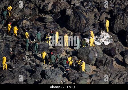 Déversement de pétrole causé par le naufrage du pétrolier Erika : nettoyage de la côte, Belle-Ile-en-Mer (au large de la Bretagne, au nord-ouest de la France), Januar Banque D'Images