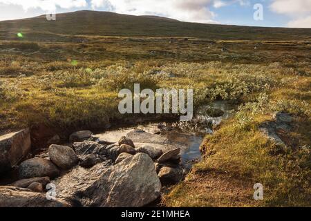 Paysage d'été montagne plateau de toundra. Parc national de Dovrefjell-Sunndalsfjella en Norvège Banque D'Images