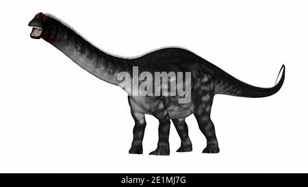 Apatosaurus dinosaurwalking - rendu 3D Banque D'Images