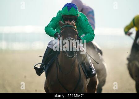 Rose d'Aghaboe, criblée par le jockey Tabitha Worsley, remporte la course Sky Sports Racing sur le Sky 415 'Jumpers' Bumper' NH Flat Race à l'hippodrome de Taunton. Banque D'Images