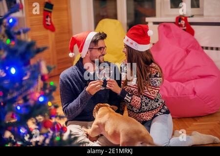 Couple assis sur le sol et faire un toast avec du champagne. Chien sur les genoux de l'homme. Concept des fêtes de Noël. Banque D'Images