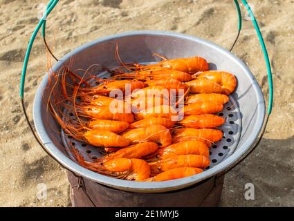 Les fruits de mer de la crevette King sont servis fraîchement préparés sur la plage Dans le district de Pattaya Chonburi Thaïlande Asie du Sud-est Banque D'Images