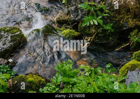 Petite cascade confortable dans la forêt par beau temps. La rivière de montagne tombe de la falaise sur les rochers, ruisseau de précipitation d'eau. Banque D'Images