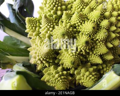 Un brocoli romanesco entier sur une table de cuisine Banque D'Images