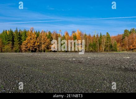 Champ fraîchement labouré en automne, Bavière, Allemagne, Europe Banque D'Images