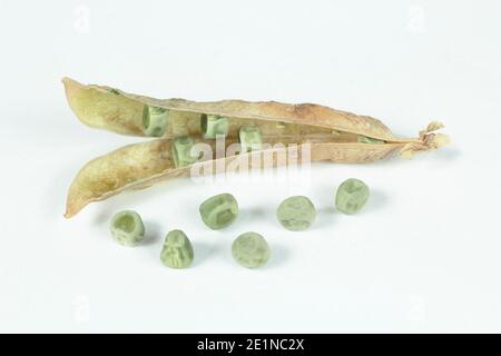 Pisum sativum 'Kelvedon Wonder' Peas. Graines de pois secs et gousse pour sauver isolées sur fond blanc. ROYAUME-UNI Banque D'Images