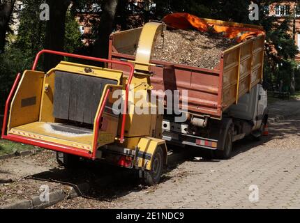 Travaux de nettoyage dans le parc. Broyeur de dérivation en action. Chargement sur un chariot. Banque D'Images