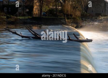 Une bûche, qui ressemble à un canot ou à un bateau, au bord de la rivière Wharfe Weir au Boston Spa, West Yorkshire Banque D'Images