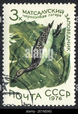 Un timbre imprimé en URSS montre le Loon à gorge noire dans la réserve naturelle de Matsalu, de la série Réserve nationale, vers 1976 Banque D'Images