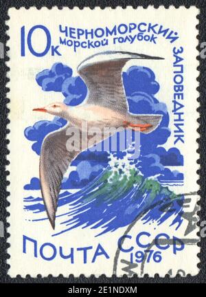 Un timbre imprimé en URSS montre la Mouette à bec grêle dans la réserve de la mer Noire, de la série Réserve nationale, vers 1976 Banque D'Images