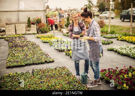Deux travailleuses heureuses sont debout dans la serre et la vérification des pots de fleurs. Banque D'Images