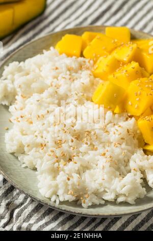 Riz Sticky à la mangue maison avec noix de coco et graines de sésame Banque D'Images