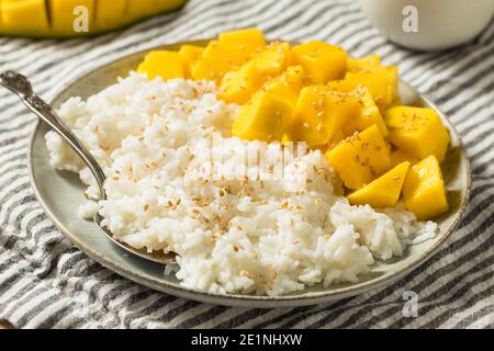 Riz Sticky à la mangue maison avec noix de coco et graines de sésame Banque D'Images