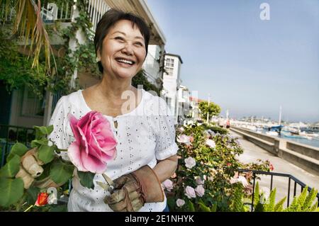 Femme chinoise souriante se Pruning Her Roses Banque D'Images