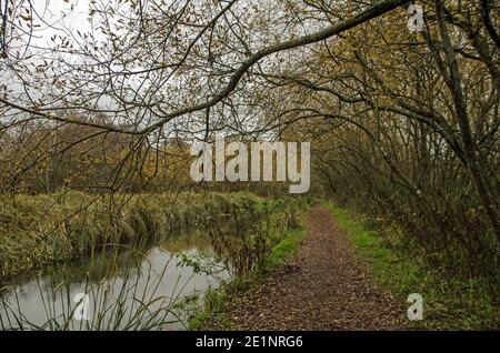 Vue sur le sentier d'Itchen Way dans le village d'Itchen Stoke, dans le Hampshire, avec des branches d'arbres qui s'enjambèrent au-dessus de la route. Banque D'Images