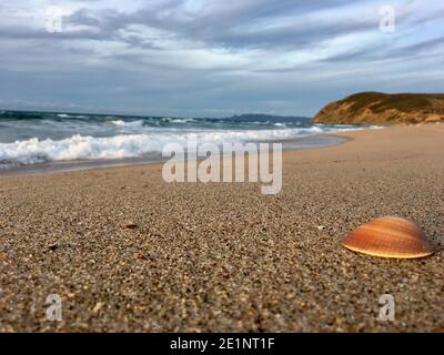 les heures de bleu coquillage au coucher du soleil sur la plage de Paysage de mer méditerranéen ondulé panorama à Skikda Algérie Banque D'Images