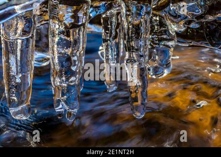 Des glaces se forment le long de Lehman Creek en octobre dans le parc national de Great Basin, Nevada, États-Unis Banque D'Images