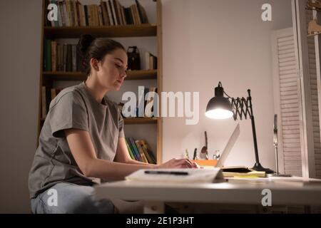 Une femme intelligente qui tape sur un netbook tout en étudiant en ligne à partir de accueil Banque D'Images