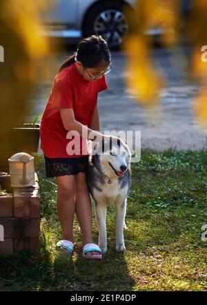 Une fille jouant avec un husky sibérien dans la cour Banque D'Images