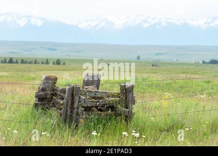 Rock Jack sur la Zumwalt Prairie de l'Oregon. Banque D'Images