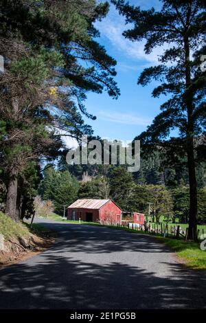 Grange rouge, Wimbledon, district de Tararua, Île du Nord, Nouvelle-Zélande Banque D'Images