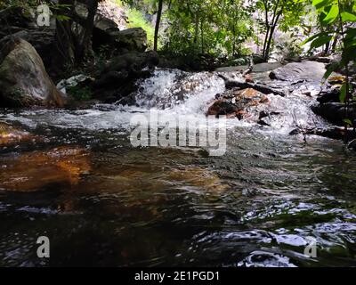 Belle petite chute d'eau de branche avec la nature piscine sur la montagne Andhra Pradesh. Chutes d'eau Sadasiva Kona, chutes de Tada, chutes d'eau de Nagalapuram Banque D'Images