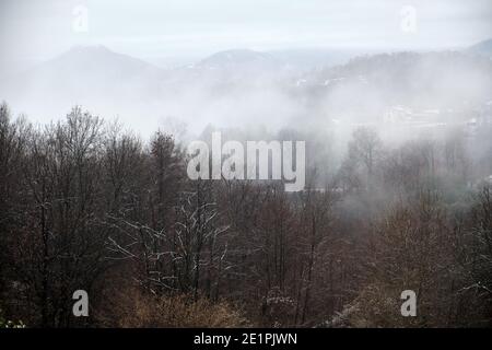 le brouillard descend en aval à travers les bois des montagnes Banque D'Images