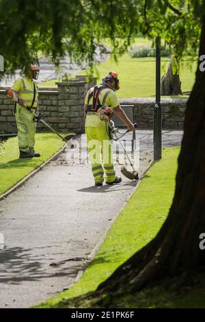 Les travailleurs de Cormac regorgent d'herbe dans les jardins de Trenance à Newquay, en Cornwall. Banque D'Images
