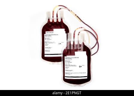 Sacs de sang frais ou de globules rouges emballés, isolés sur fond blanc. Transfusion sanguine. Banque D'Images