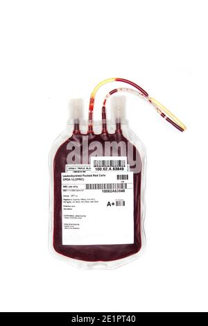 Sac de sang frais ou de globules rouges emballés, isolé sur fond blanc. Transfusion sanguine. Banque D'Images