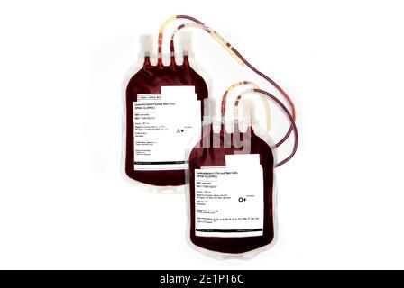 Sacs de sang frais ou de globules rouges emballés, isolés sur fond blanc. Transfusion sanguine. Banque D'Images