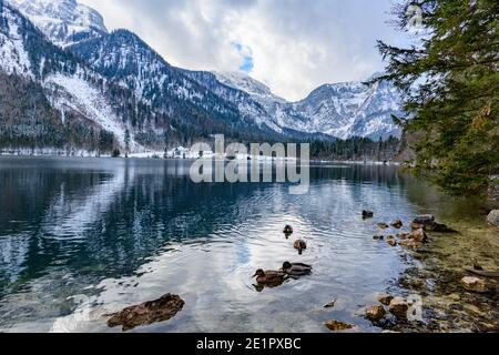 vue panoramique sur le lac de vorderer langbathsee près de ebensee in région autrichienne supérieure salzkammergut Banque D'Images